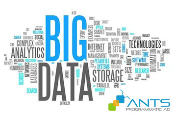 ANTS - Big Data and Data-Driven Marketing